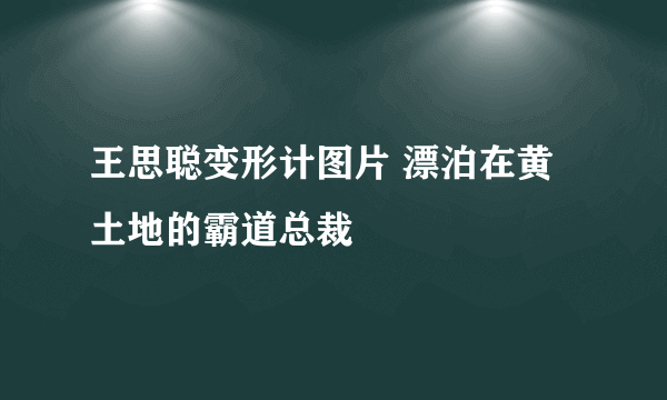 王思聪变形计图片 漂泊在黄土地的霸道总裁