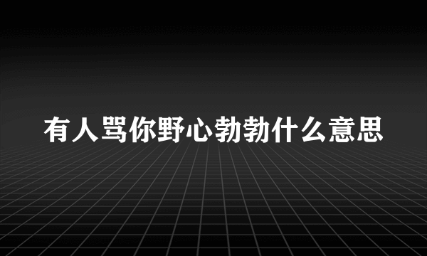 有人骂你野心勃勃什么意思