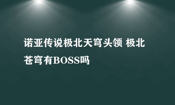 诺亚传说极北天穹头领 极北苍穹有BOSS吗