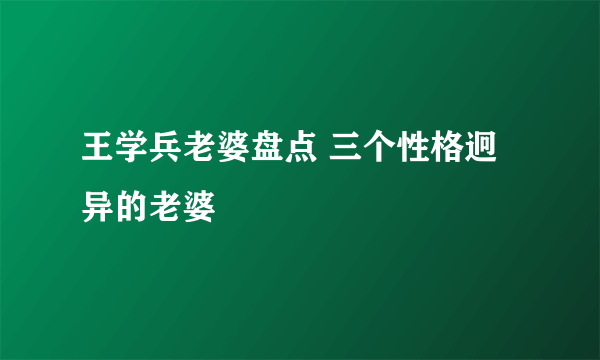 王学兵老婆盘点 三个性格迥异的老婆