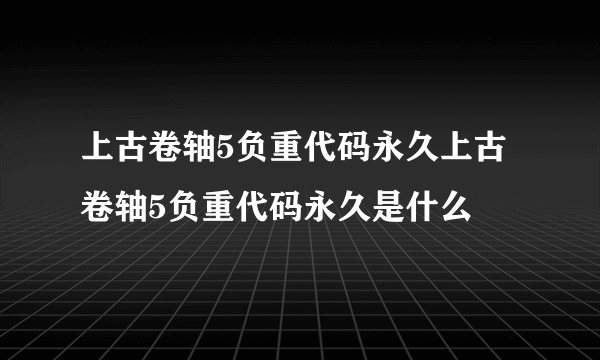 上古卷轴5负重代码永久上古卷轴5负重代码永久是什么