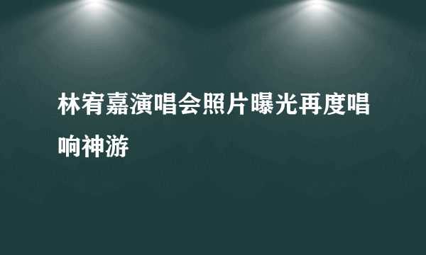 林宥嘉演唱会照片曝光再度唱响神游