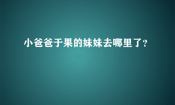 小爸爸于果的妹妹去哪里了？