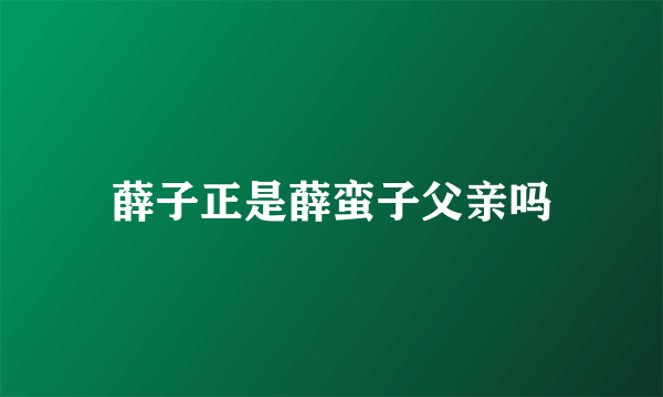 薛子正是薛蛮子父亲吗