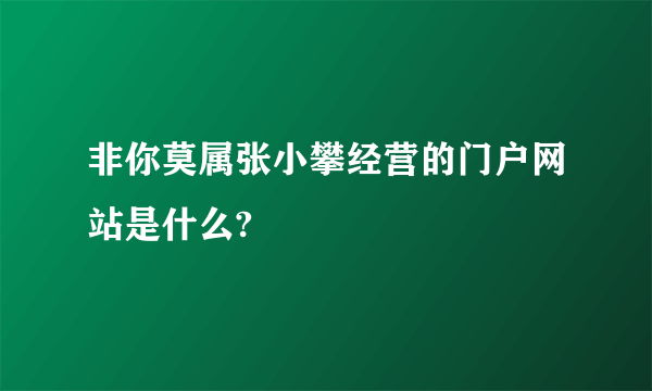 非你莫属张小攀经营的门户网站是什么?