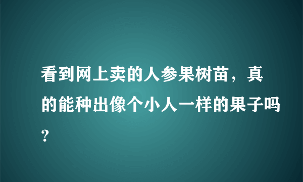 看到网上卖的人参果树苗，真的能种出像个小人一样的果子吗？