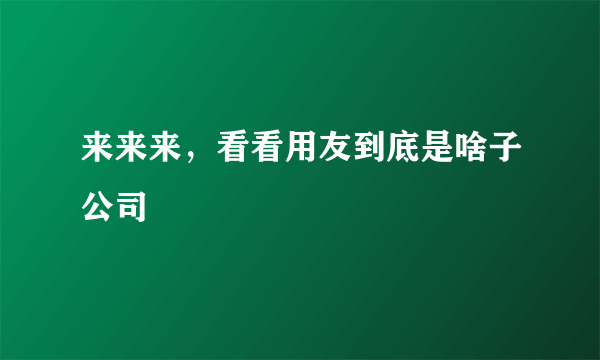 来来来，看看用友到底是啥子公司