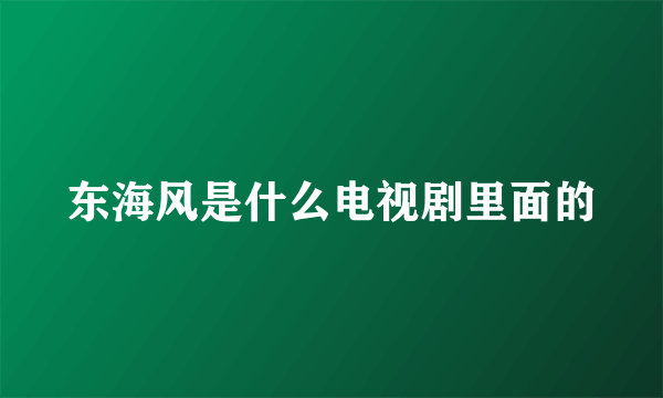 东海风是什么电视剧里面的