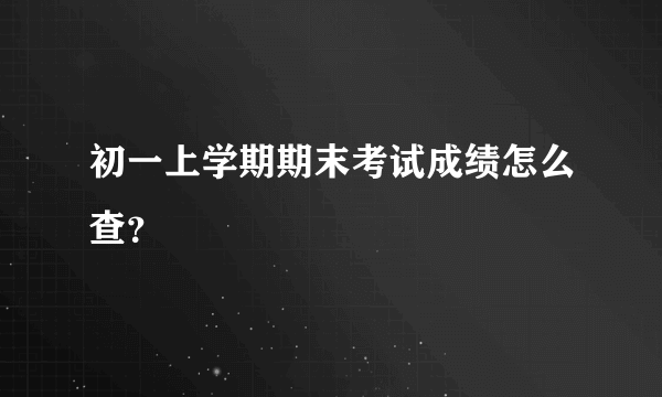 初一上学期期末考试成绩怎么查？