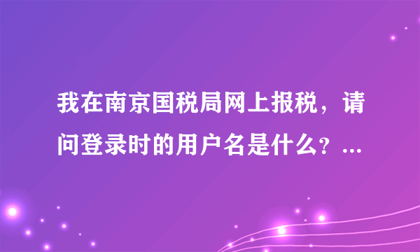 我在南京国税局网上报税，请问登录时的用户名是什么？初始密码是什么？