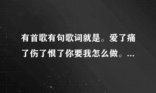 有首歌有句歌词就是。爱了痛了伤了恨了你要我怎么做。歌名叫啥？