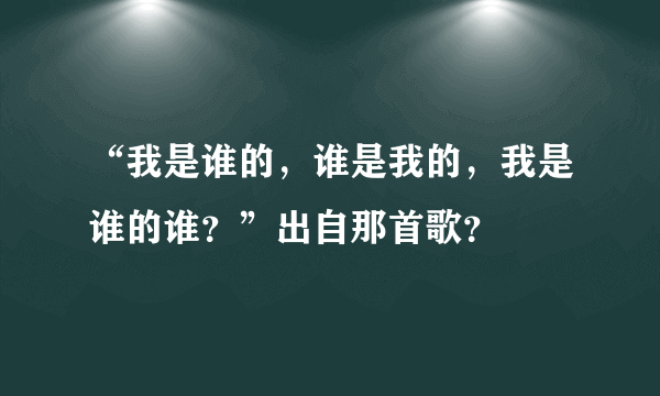 “我是谁的，谁是我的，我是谁的谁？”出自那首歌？