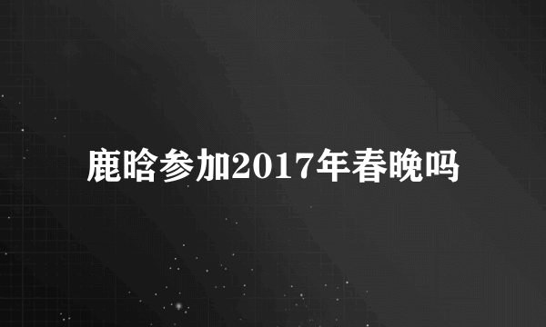 鹿晗参加2017年春晚吗