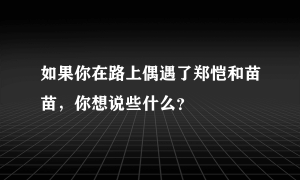 如果你在路上偶遇了郑恺和苗苗，你想说些什么？