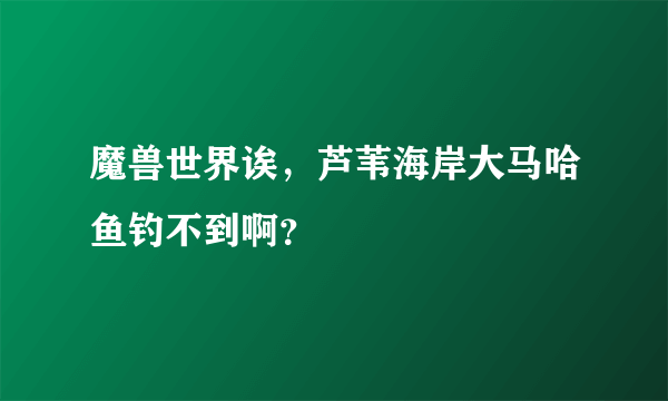 魔兽世界诶，芦苇海岸大马哈鱼钓不到啊？