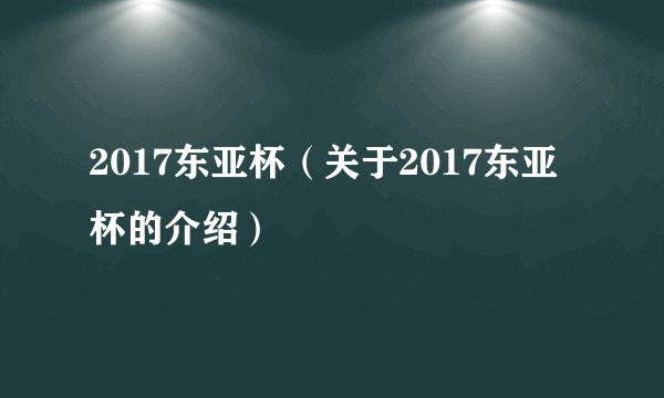 2017东亚杯（关于2017东亚杯的介绍）