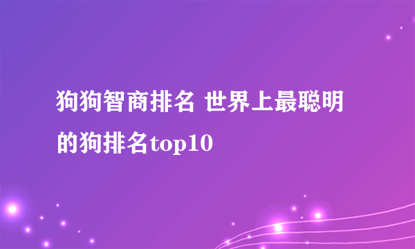 狗狗智商排名 世界上最聪明的狗排名top10