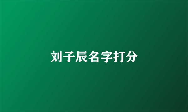 刘子辰名字打分