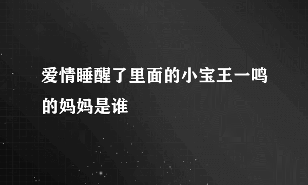 爱情睡醒了里面的小宝王一鸣的妈妈是谁