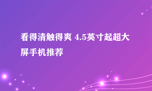 看得清触得爽 4.5英寸起超大屏手机推荐