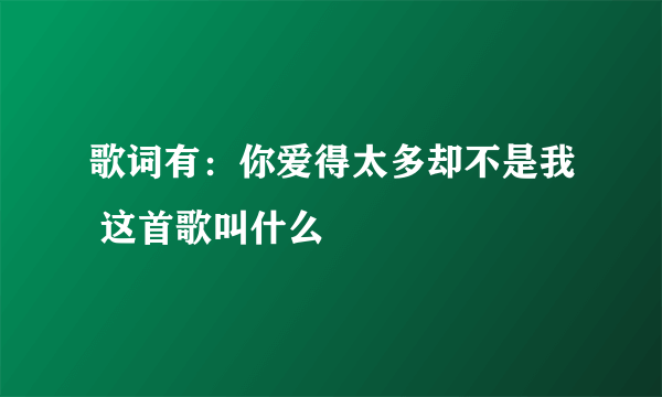 歌词有：你爱得太多却不是我 这首歌叫什么