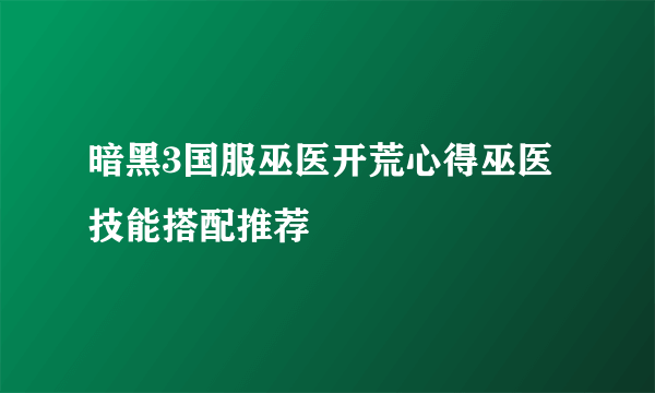 暗黑3国服巫医开荒心得巫医技能搭配推荐