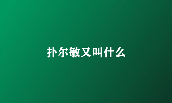 扑尔敏又叫什么