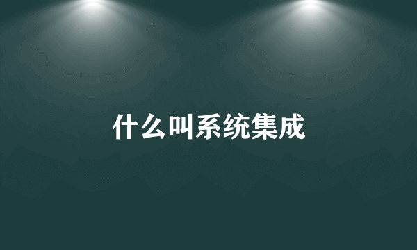 什么叫系统集成