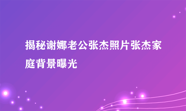 揭秘谢娜老公张杰照片张杰家庭背景曝光