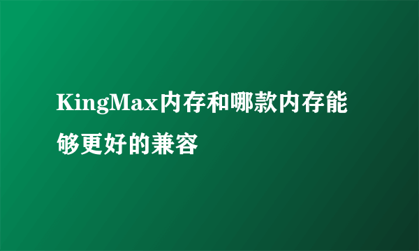 KingMax内存和哪款内存能够更好的兼容