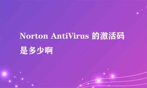 Norton AntiVirus 的激活码是多少啊