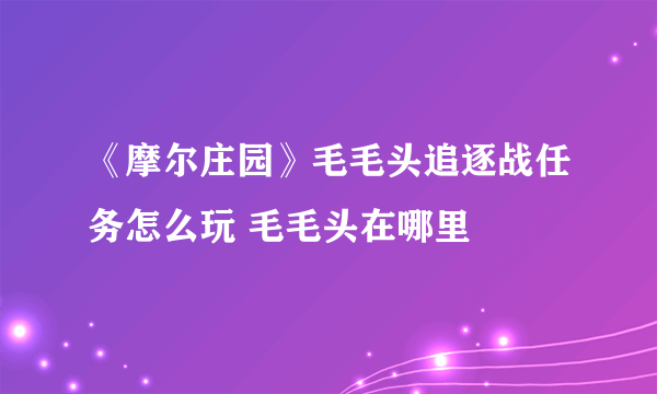 《摩尔庄园》毛毛头追逐战任务怎么玩 毛毛头在哪里