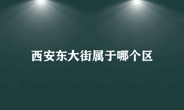 西安东大街属于哪个区