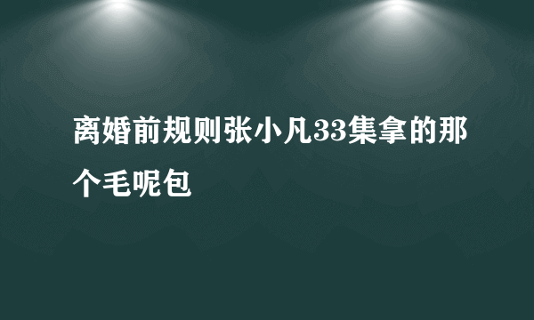 离婚前规则张小凡33集拿的那个毛呢包