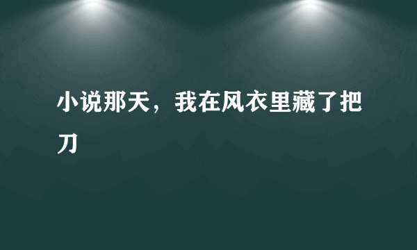 小说那天，我在风衣里藏了把刀