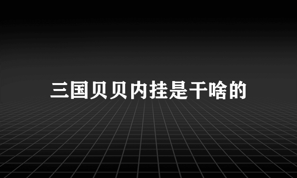 三国贝贝内挂是干啥的