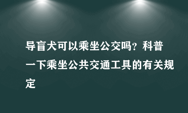 导盲犬可以乘坐公交吗？科普一下乘坐公共交通工具的有关规定