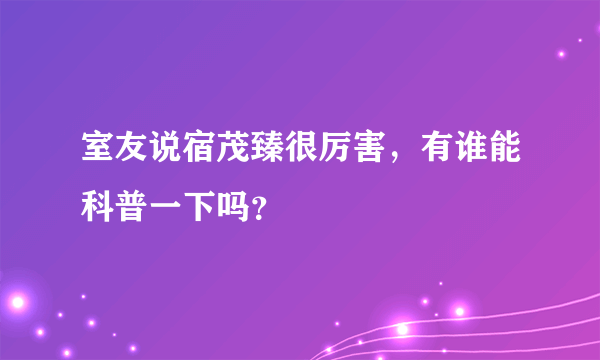 室友说宿茂臻很厉害，有谁能科普一下吗？