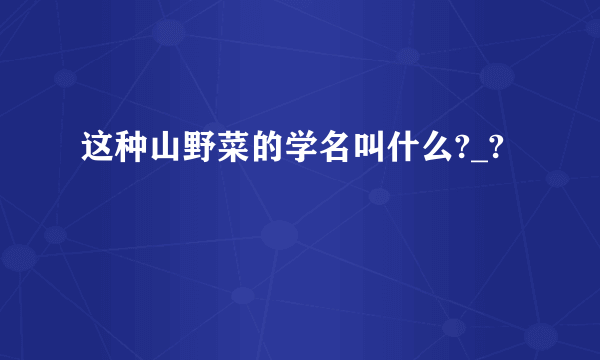 这种山野菜的学名叫什么?_?