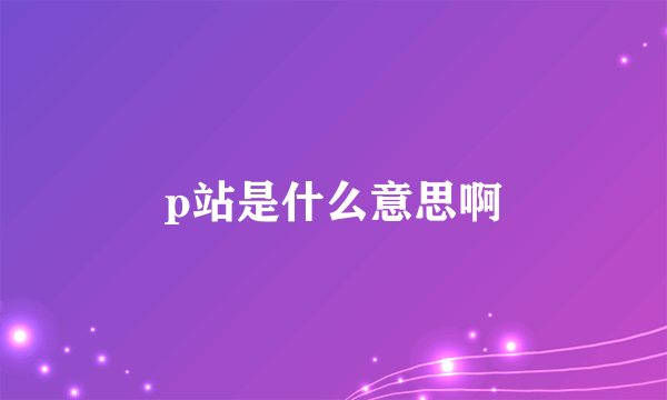 p站是什么意思啊