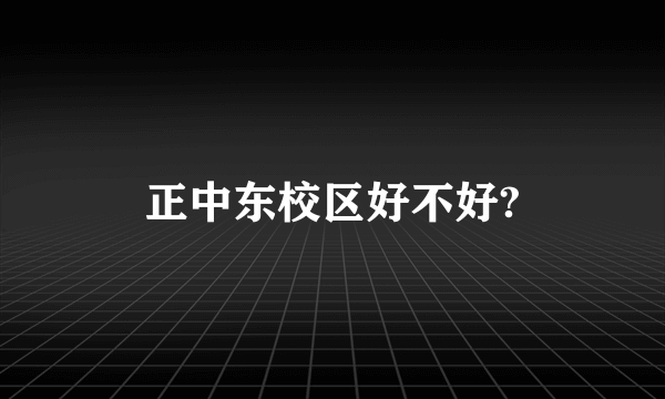 正中东校区好不好?