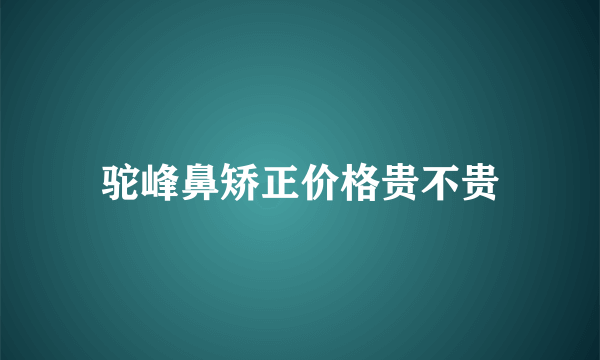 驼峰鼻矫正价格贵不贵