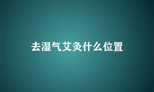 去湿气艾灸什么位置