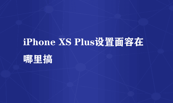 iPhone XS Plus设置面容在哪里搞