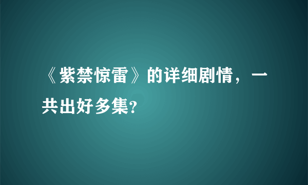 《紫禁惊雷》的详细剧情，一共出好多集？