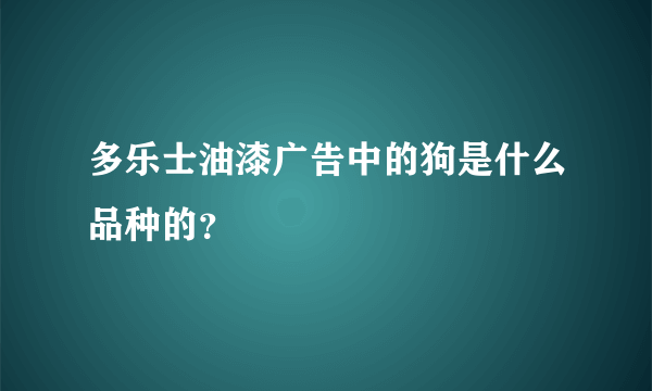 多乐士油漆广告中的狗是什么品种的？