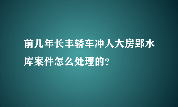 前几年长丰轿车冲人大房郢水库案件怎么处理的？