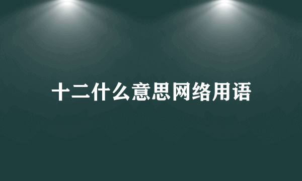 十二什么意思网络用语