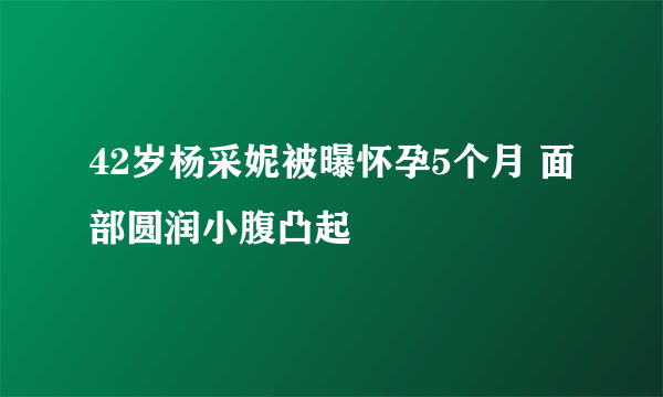 42岁杨采妮被曝怀孕5个月 面部圆润小腹凸起