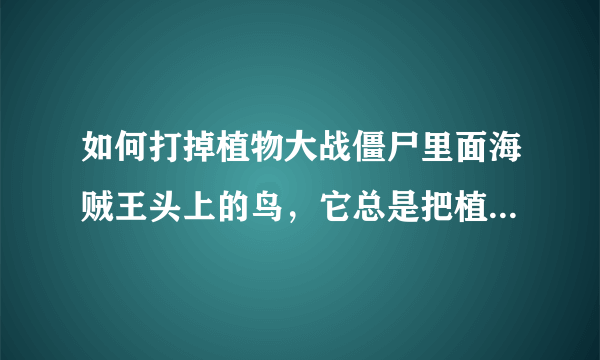 如何打掉植物大战僵尸里面海贼王头上的鸟，它总是把植物叼走，谢？